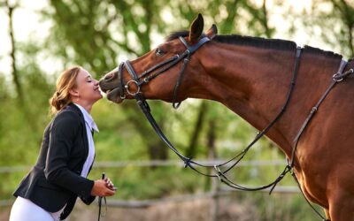 Aprenda com o cavalo puro sangue inglês: 4 expressões idiomáticas para usar