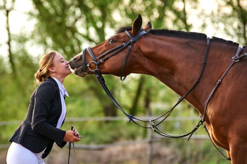 Aprenda com o cavalo puro sangue inglês: 4 expressões idiomáticas para usar