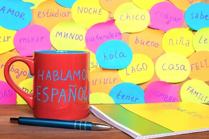Conjugação de verbos em espanhol: guia de verbos regulares e irregulares no presente do indicativo