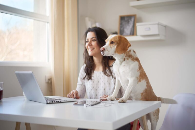 Mulher em trabalho remoto, sentada em uma mesa em frente a um computador, olhando pela janela. Ela está com seu cachorro ao lado.